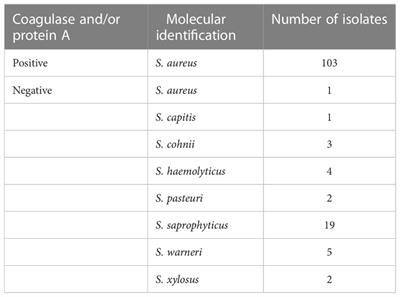 Prevalence and antibiotic resistance of Staphylococcus aureus associated with a college-aged cohort: life-style factors that contribute to nasal carriage